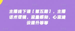 主播线下课【第五期】，主播话术逻辑，流量感知，心流建设提升等等-虚拟资源库