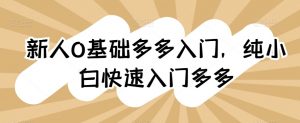 新人0基础多多入门，​纯小白快速入门多多-虚拟资源库