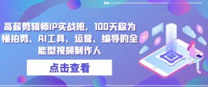 高薪剪辑师IP实战班，100天称为懂拍剪、AI工具、运营、编导的全能型视频制作人-虚拟资源库