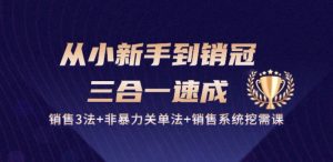 从小新手到销冠 三合一速成:销售3法+非暴力关单法+销售系统挖需课 (27节)-虚拟资源库