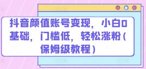 抖音颜值账号变现，小白0基础，门槛低，​轻松涨粉(保姆级教程)【揭秘】-虚拟资源库