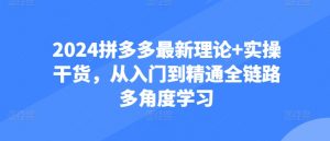 2024拼多多最新理论+实操干货，从入门到精通全链路多角度学习-虚拟资源库