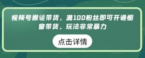 视频号搬运带货,满100粉丝即可开通橱窗带货,玩法非常暴力【揭秘】-虚拟资源库