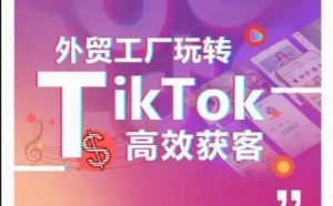 外贸工厂玩转TikTok高效获客，多种引流方式与账号定位技巧，拆解爆款短视频打造成功案例-虚拟资源库