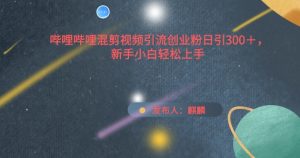 哔哩哔哩混剪视频引流创业粉日引300+，新手小白轻松上手【揭秘】-虚拟资源库