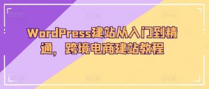 WordPress建站从入门到精通，跨境电商建站教程-虚拟资源库