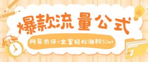爆款流量公式,网易热评+文案轻松涨粉50w+【揭秘】-虚拟资源库