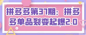 拼多多第37期：拼多多单品裂变起爆2.0-虚拟资源库