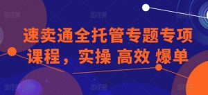 速卖通全托管专题专项课程,实操 高效 爆单-虚拟资源库