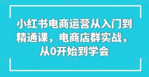 小红书电商运营从入门到精通课，电商店群实战，从0开始到学会-虚拟资源库