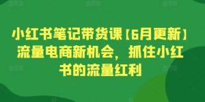 小红书笔记带货课【6月更新】流量电商新机会,抓住小红书的流量红利-虚拟资源库