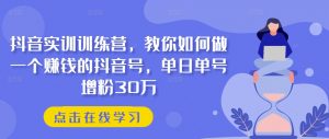 抖音实训训练营，教你如何做一个赚钱的抖音号，单日单号增粉30万-虚拟资源库