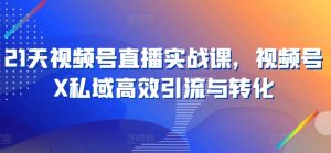 21天视频号直播实战课,视频号X私域高效引流与转化-虚拟资源库