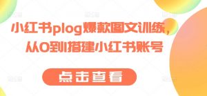 小红书plog爆款图文训练，从0到1搭建小红书账号-虚拟资源库