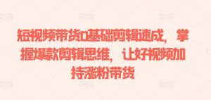 短视频带货0基础剪辑速成，掌握爆款剪辑思维，让好视频加持涨粉带货-虚拟资源库