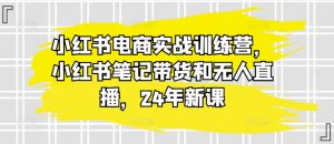 小红书电商实战训练营，小红书笔记带货和无人直播，24年新课-虚拟资源库
