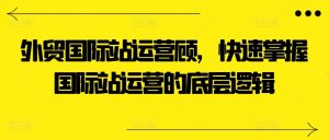 外贸国际站运营顾问，快速掌握国际站运营的底层逻辑-虚拟资源库