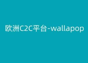 欧洲C2C平台-wallapop-kim跨境电商教程-虚拟资源库