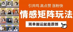 简单搬运，情感矩阵玩法，涨粉速度快，可带货，可起号【揭秘】-虚拟资源库