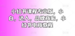 小红书课程专业版，小白，达人，品牌商家，小红书电商教程-虚拟资源库