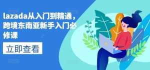 lazada从入门到精通，跨境东南亚新手入门必修课-虚拟资源库