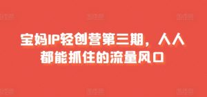 宝妈IP轻创营第三期,人人都能抓住的流量风口-虚拟资源库