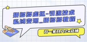 拼多多虚拟-引流技术与私域变现_拼多多教程：开一家月入2w店铺-虚拟资源库