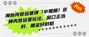 海外内容运营课【中视频】多种内容运营玩法，风口正当时，掘金好时机-虚拟资源库