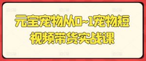 元宝宠物从0~1宠物短视频带货实战课-虚拟资源库