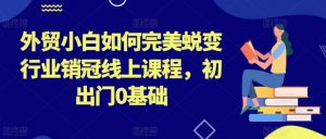 外贸小白如何完美蜕变行业销冠线上课程，初出门0基础-虚拟资源库