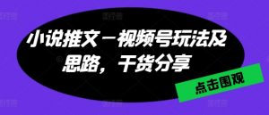 小说推文—视频号玩法及思路,干货分享-虚拟资源库