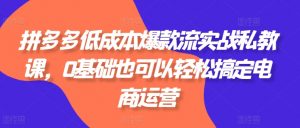 拼多多低成本爆款流实战私教课，0基础也可以轻松搞定电商运营-虚拟资源库