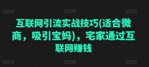 互联网引流实战技巧(适合微商,吸引宝妈),宅家通过互联网赚钱-虚拟资源库