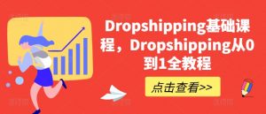 Dropshipping基础课程，Dropshipping从0到1全教程-虚拟资源库