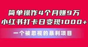 简单操作4个月赚9w，小红书打卡日变现1k，一个被忽视的暴力项目【揭秘】-虚拟资源库