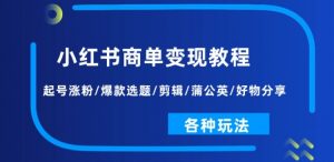 小红书商单变现教程：起号涨粉/爆款选题/剪辑/蒲公英/好物分享/各种玩法-虚拟资源库