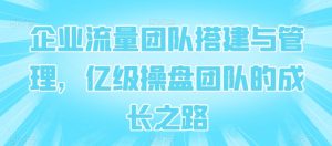 企业流量团队搭建与管理，亿级操盘团队的成长之路-虚拟资源库