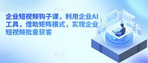企业短视频钩子课，利用企业AI工具，借助矩阵模式，实现企业短视频批量获客-虚拟资源库