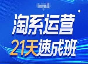 淘系运营24天速成班第28期最新万相台无界带免费流量-虚拟资源库