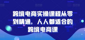 跨境电商实操课程从零到精通，人人都适合的跨境电商课-虚拟资源库