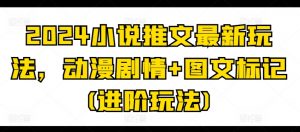 2024小说推文最新玩法，动漫剧情+图文标记(进阶玩法)-虚拟资源库