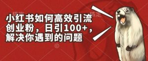 小红书如何高效引流创业粉,日引100+,解决你遇到的问题【揭秘】-虚拟资源库