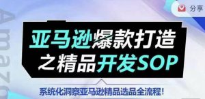 【训练营】亚马逊爆款打造之精品开发SOP,系统化洞察亚马逊精品选品全流程-虚拟资源库