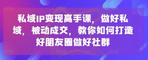 私域IP变现高手课,做好私域,被动成交,教你如何打造好朋友圈做好社群-虚拟资源库