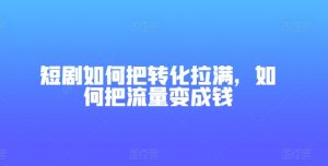 短剧如何把转化拉满，如何把流量变成钱-虚拟资源库