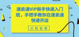速卖通VIP新手快速入门班，手把手教你在速卖通快速开店-虚拟资源库