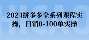 2024拼多多全系列课程实操，日销0-100单实操【必看】-虚拟资源库