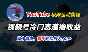 视频号冷门赛道撸收益,YouTube搬运极限运动集锦,暴力起号,操作简单流量高,轻松日入5张【揭秘】-虚拟资源库