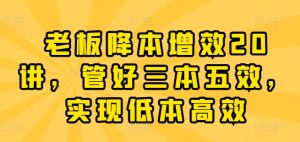 老板降本增效20讲，管好三本五效，实现低本高效-虚拟资源库
