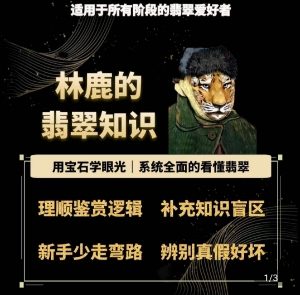 林鹿的翡翠知识，​用宝石眼光，系统全面的看懂翡翠-虚拟资源库